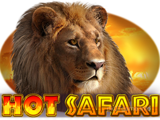 Hot Safari